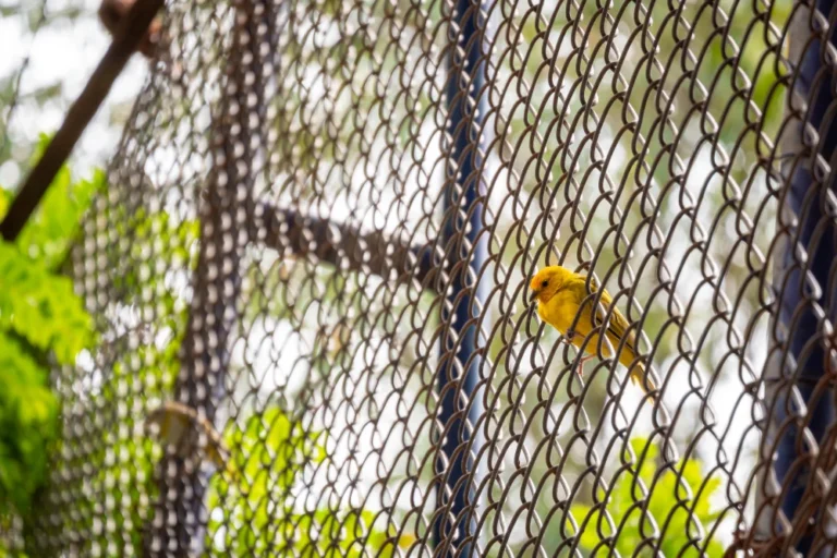 Chain Link Mesh Rolls-3