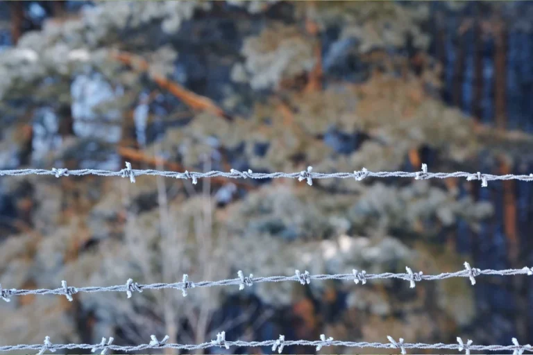 GI Barbed Wire-2