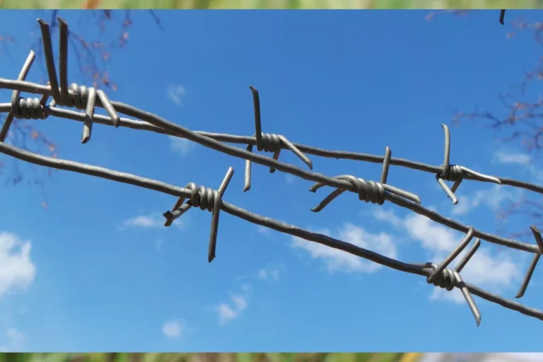 GI Barbed Wire-3