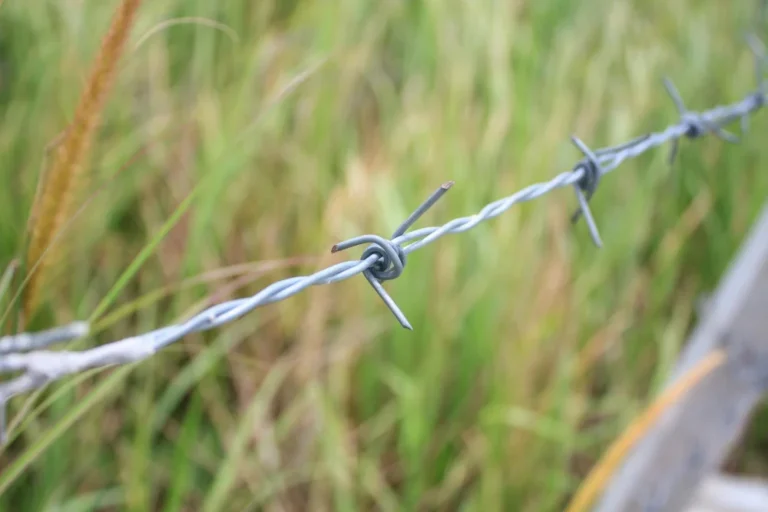 GI Barbed Wire-4