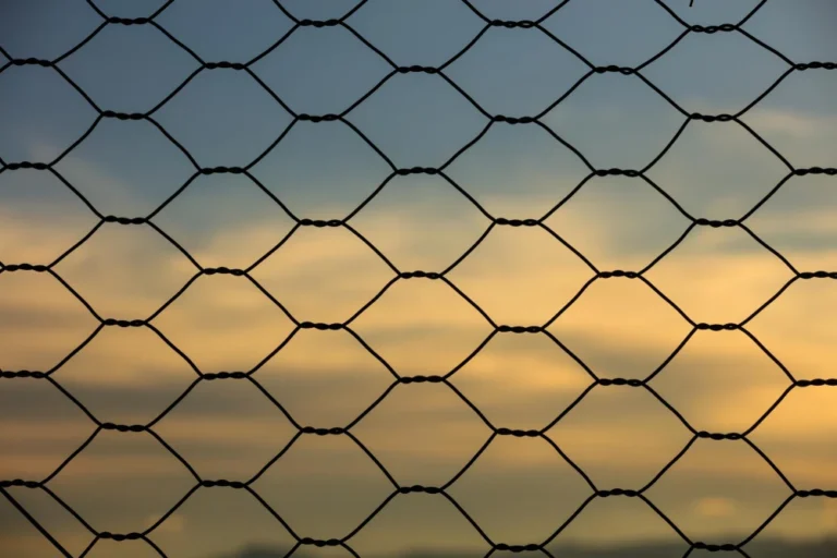 Hexagonal Wire Mesh-1