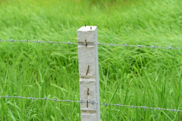 RCC Fencing Pole-1