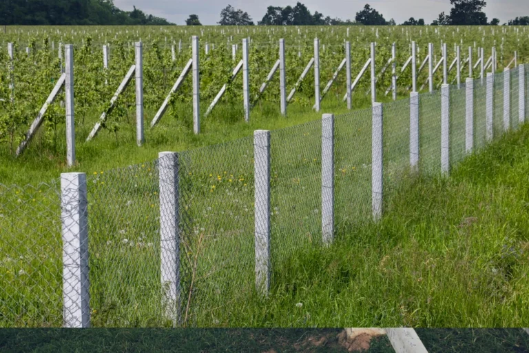 RCC Fencing Pole-2
