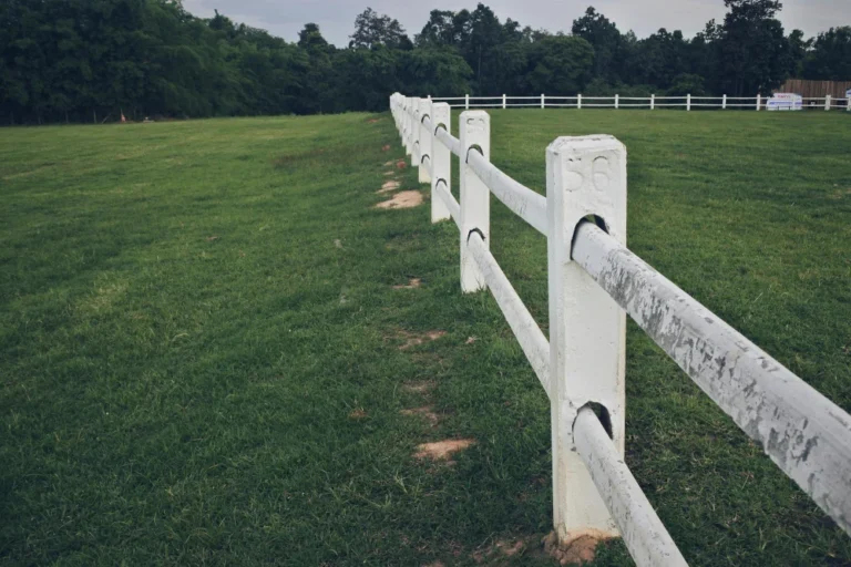 RCC Fencing Pole-3
