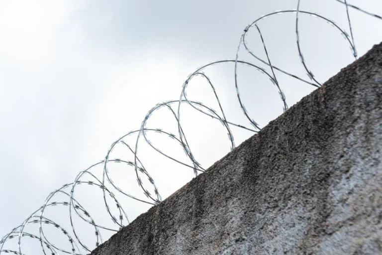 Razor Wire _ Concertina Coil-2