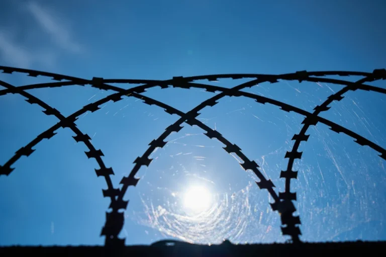Razor Wire _ Concertina Coil-4