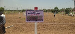 Solar Plant Fencing in Tamil Nadu